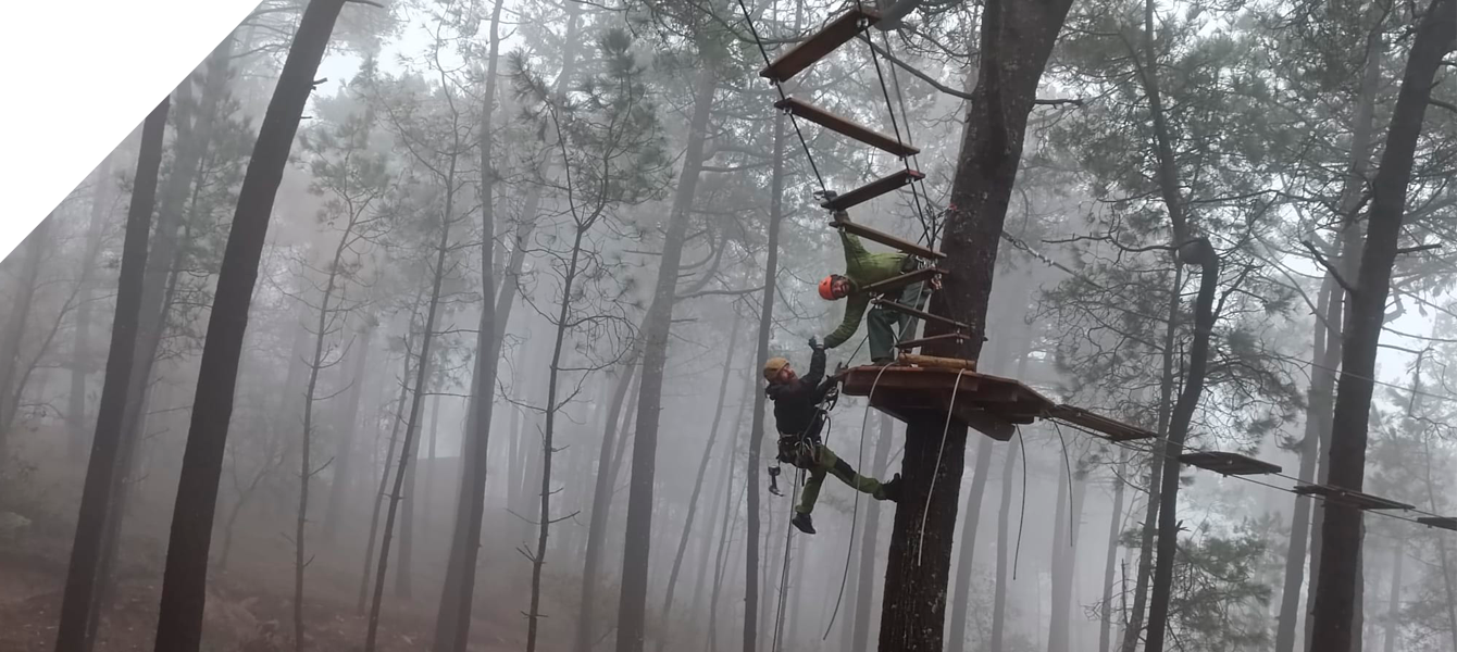 Dos miembros del equipo trabajando en una plataforma en un bosque frondoso y nublado.