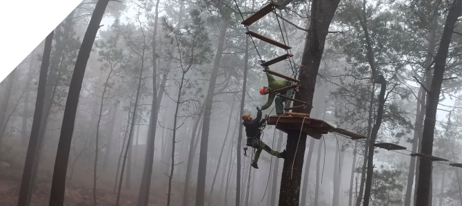 Dos miembros del equipo trabajando en una plataforma en un bosque frondoso y nublado.